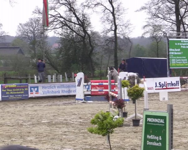 Reitturnier Rhede 2023
