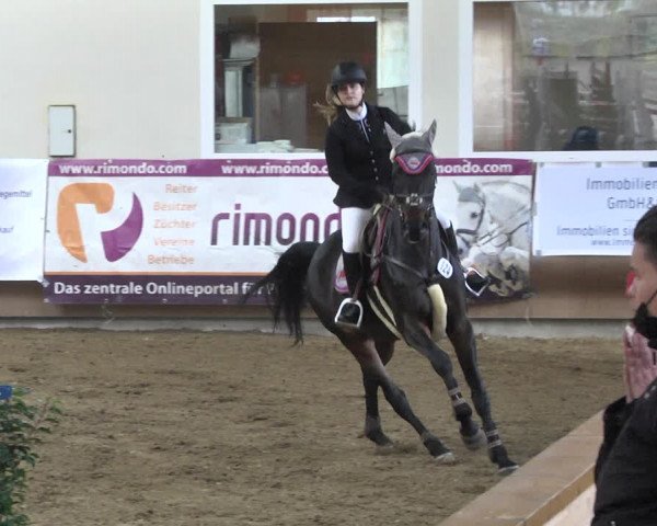 Reitturnier Schwendi 2021