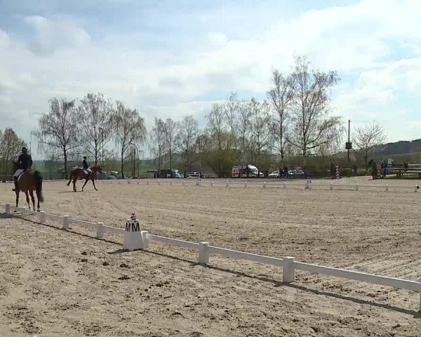 Reitturnier Landenhausen 2023