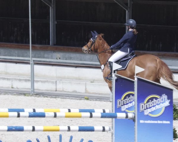 Reitturnier Ingolstadt-Hagau/Obb. 2023