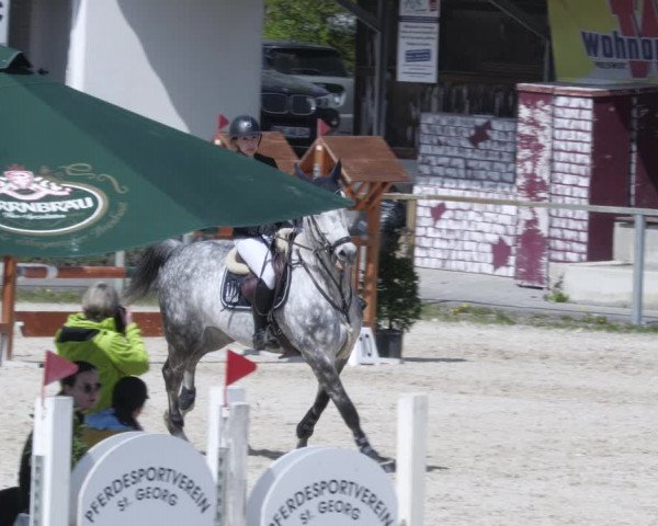 Reitturnier Ingolstadt-Hagau/Obb. 2023