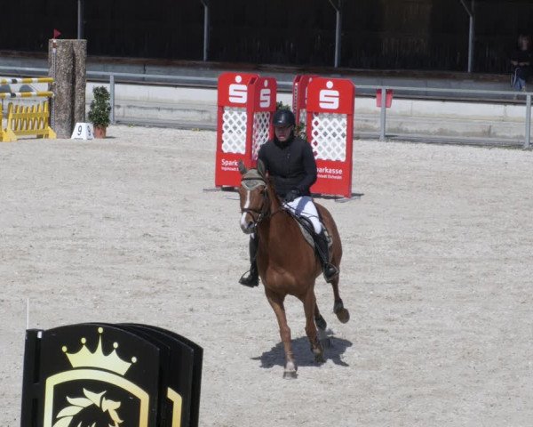 Reitturnier Ingolstadt-Hagau/Obb. 2023