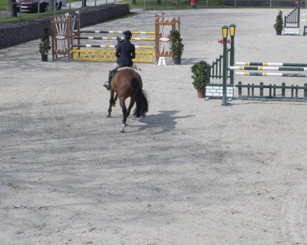 Reitturnier Ingolstadt-Hagau/Obb. 2023