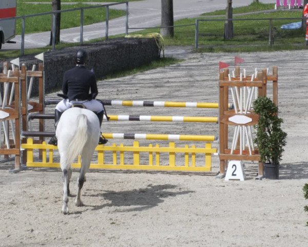Reitturnier Ingolstadt-Hagau/Obb. 2023