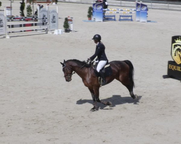 Reitturnier Ingolstadt-Hagau/Obb. 2023