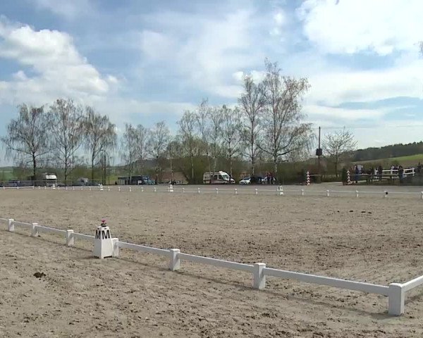 Reitturnier Landenhausen 2023