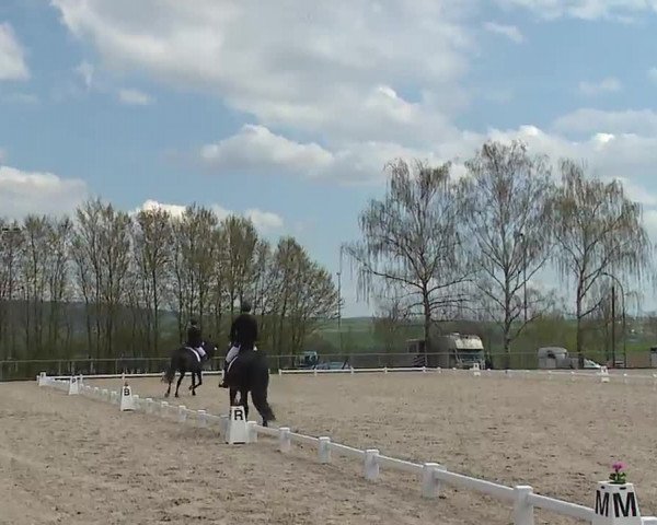 Reitturnier Landenhausen 2023