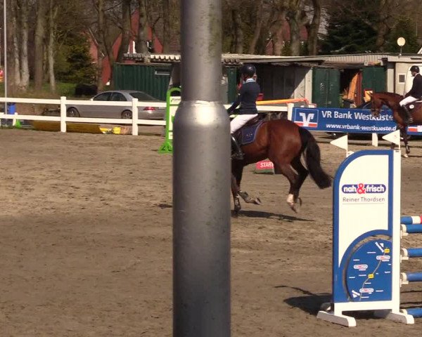Reitturnier Mildstedt 2023