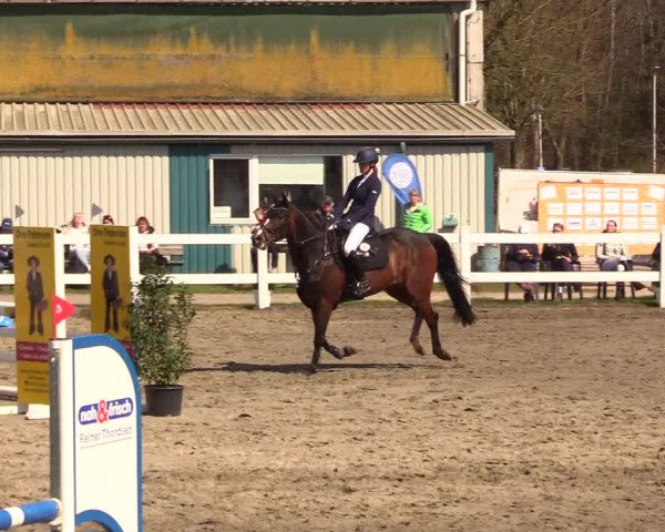 Reitturnier Mildstedt 2023