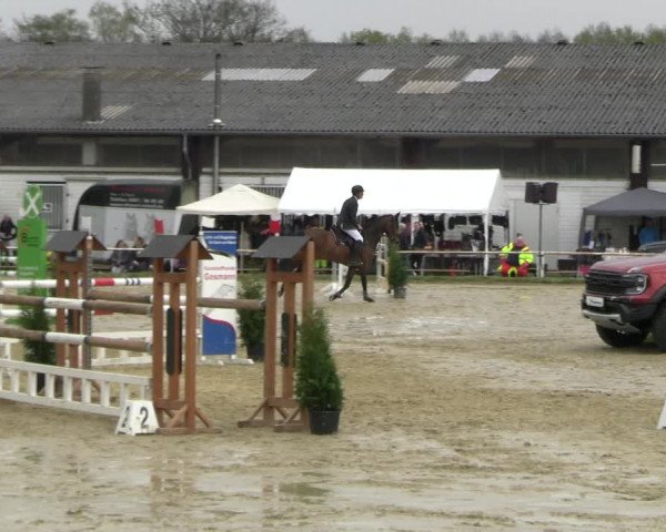 Reitturnier Bottrop 2023