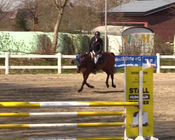 Reitturnier Mildstedt 2023