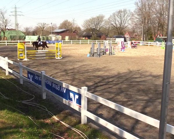 Reitturnier Mildstedt 2023