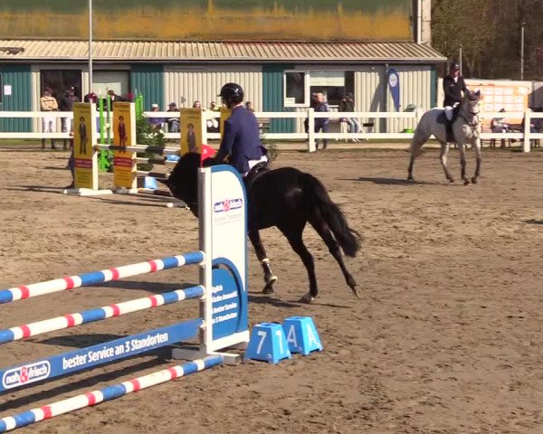 Reitturnier Mildstedt 2023