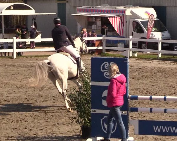 Reitturnier Mildstedt 2023
