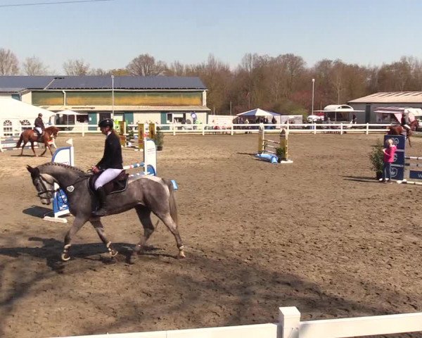 Reitturnier Mildstedt 2023