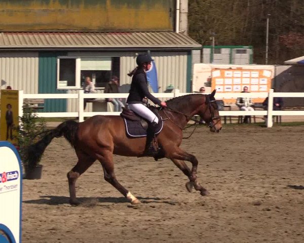 Reitturnier Mildstedt 2023