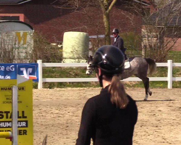 Reitturnier Mildstedt 2023