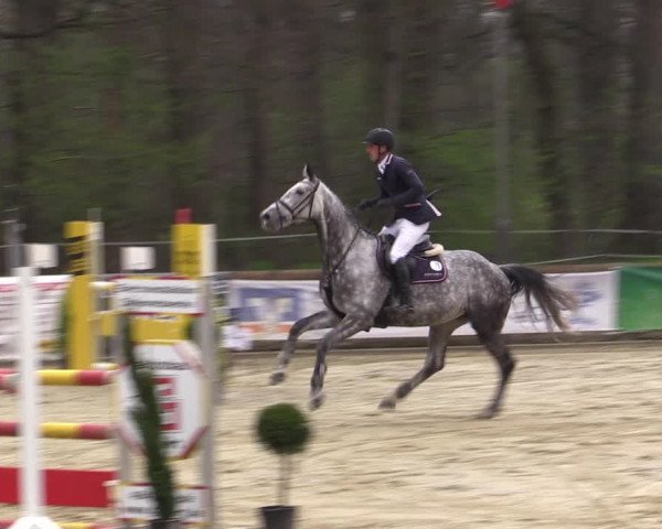 Reitturnier Rhede 2023