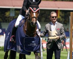 jumper Cardenta Z (Zangersheide riding horse, 2011, from VDL Cardento 933)