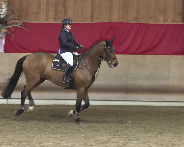 Reitturnier Schwendi 2021