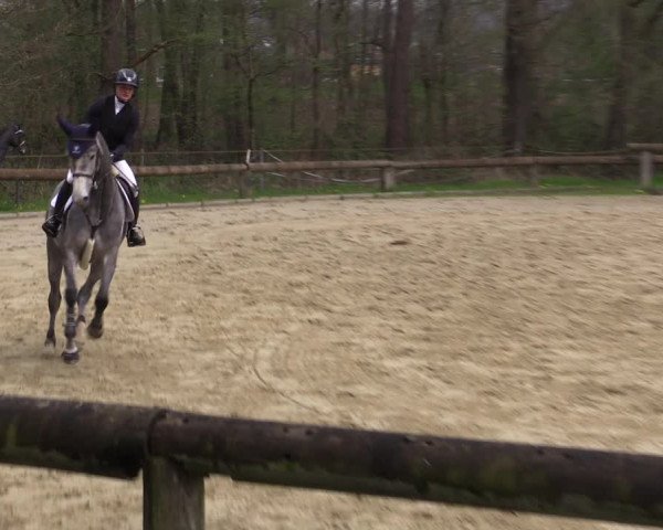Reitturnier Rhede 2023