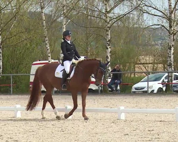 Reitturnier Landenhausen 2023