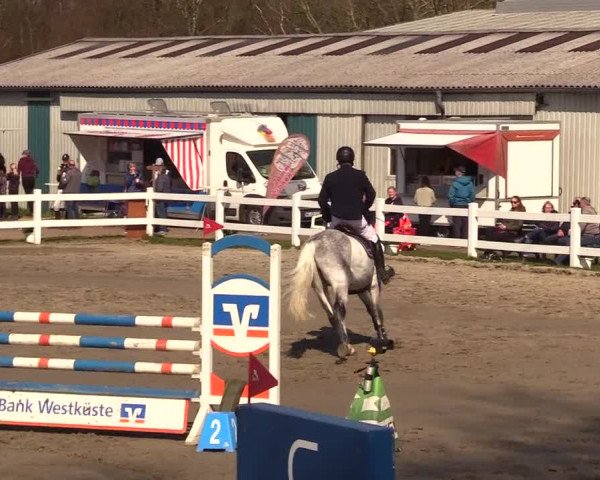 Reitturnier Mildstedt 2023