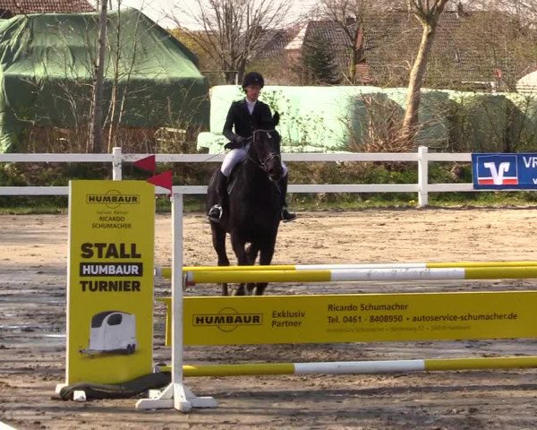 Reitturnier Mildstedt 2023