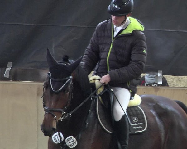 Reitturnier Schwendi 2021