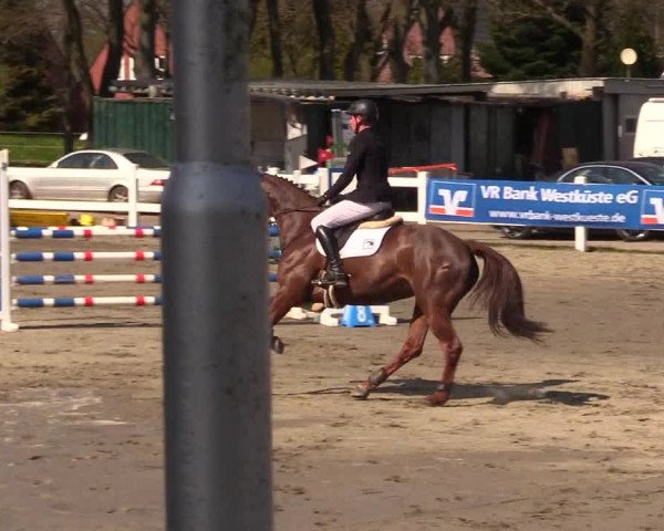 Reitturnier Mildstedt 2023