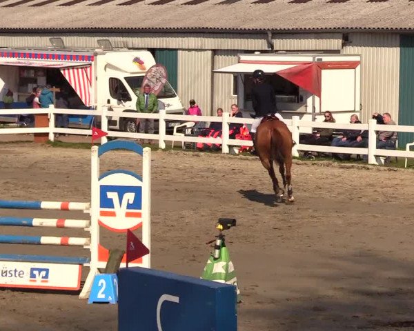 Reitturnier Mildstedt 2023