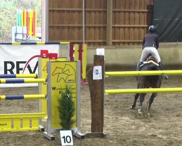 Reitturnier Schwendi 2021