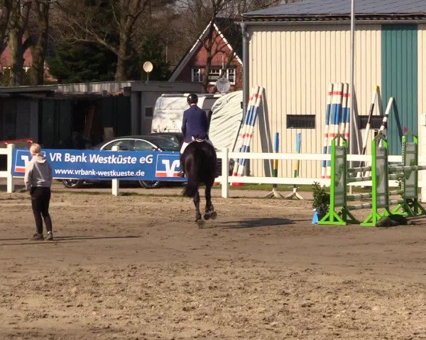 Reitturnier Mildstedt 2023