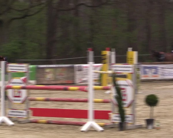 Reitturnier Rhede 2023