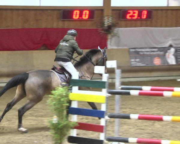 Reitturnier Schwendi 2021
