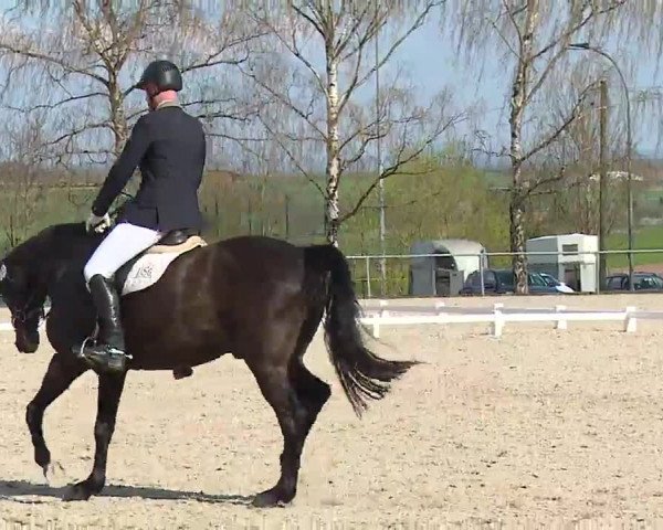 Reitturnier Landenhausen 2023