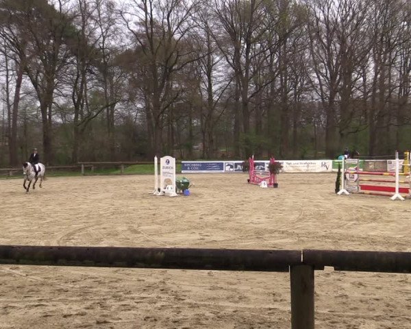 Reitturnier Rhede 2023