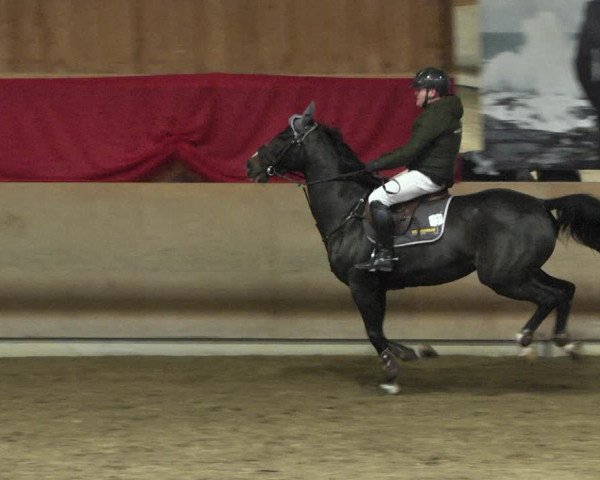 Reitturnier Schwendi 2021