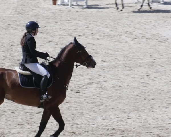 Reitturnier Ingolstadt-Hagau/Obb. 2023