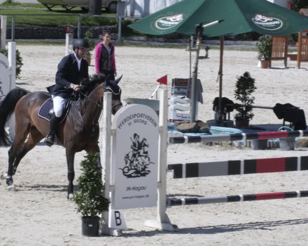 Reitturnier Ingolstadt-Hagau/Obb. 2023