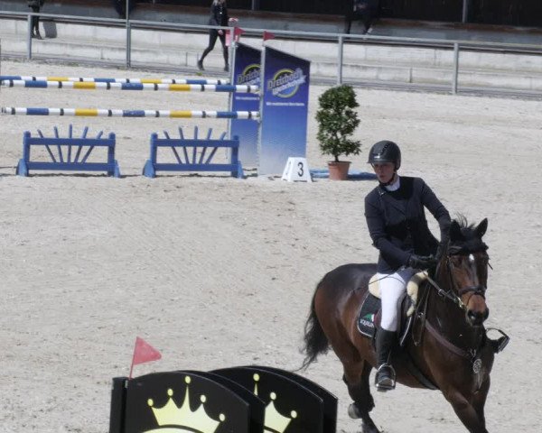 Reitturnier Ingolstadt-Hagau/Obb. 2023