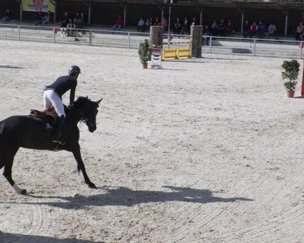 Reitturnier Ingolstadt-Hagau/Obb. 2023