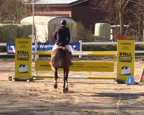 Reitturnier Mildstedt 2023
