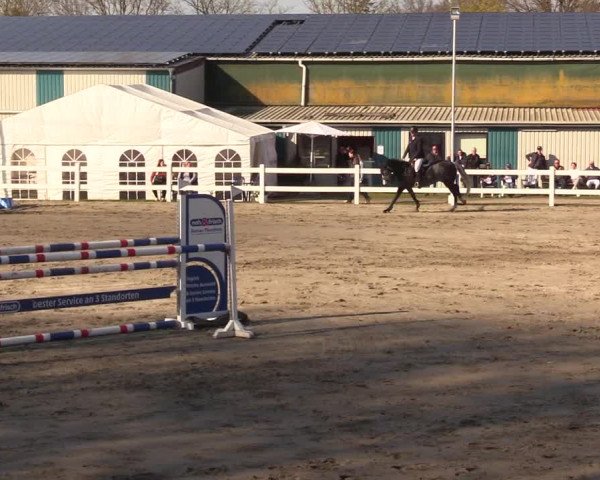 Reitturnier Mildstedt 2023