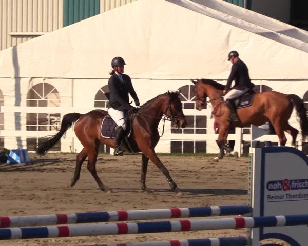 Reitturnier Mildstedt 2023