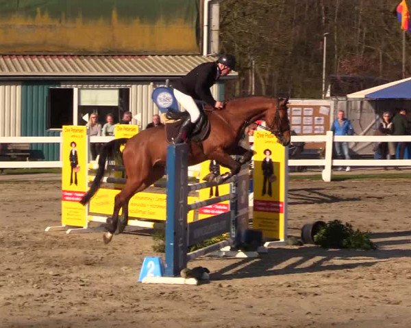 Reitturnier Mildstedt 2023