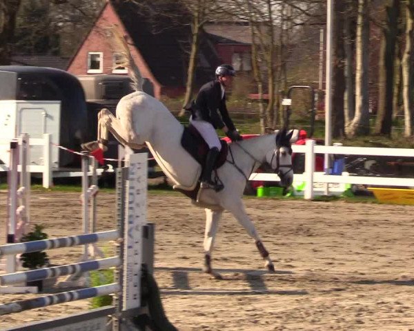 Reitturnier Mildstedt 2023