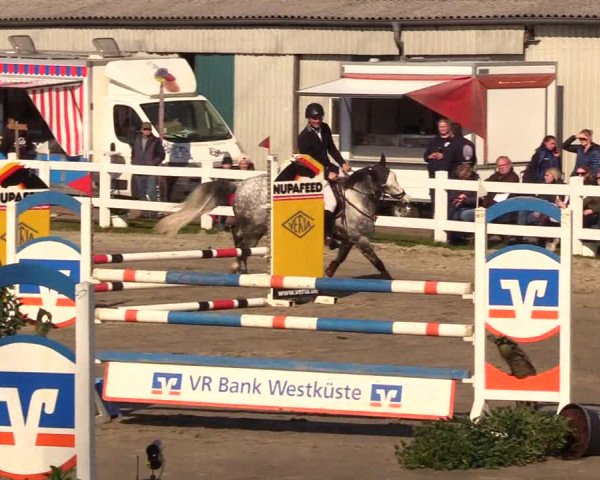 Reitturnier Mildstedt 2023