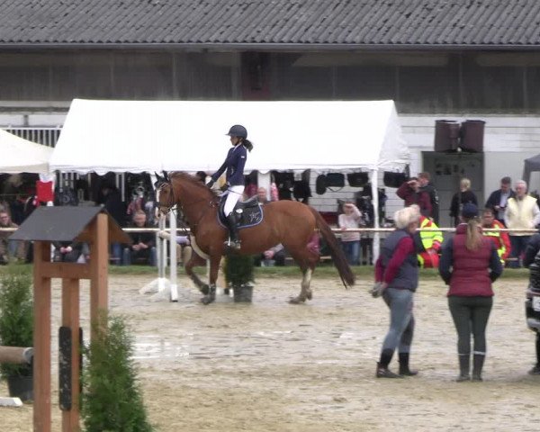 Reitturnier Bottrop 2023