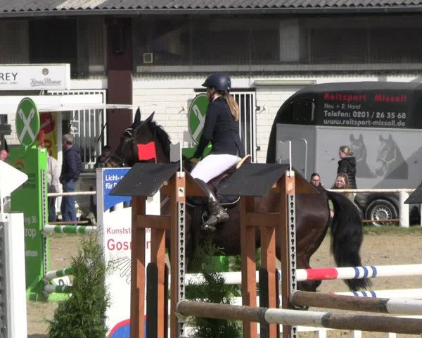 Reitturnier Bottrop 2023
